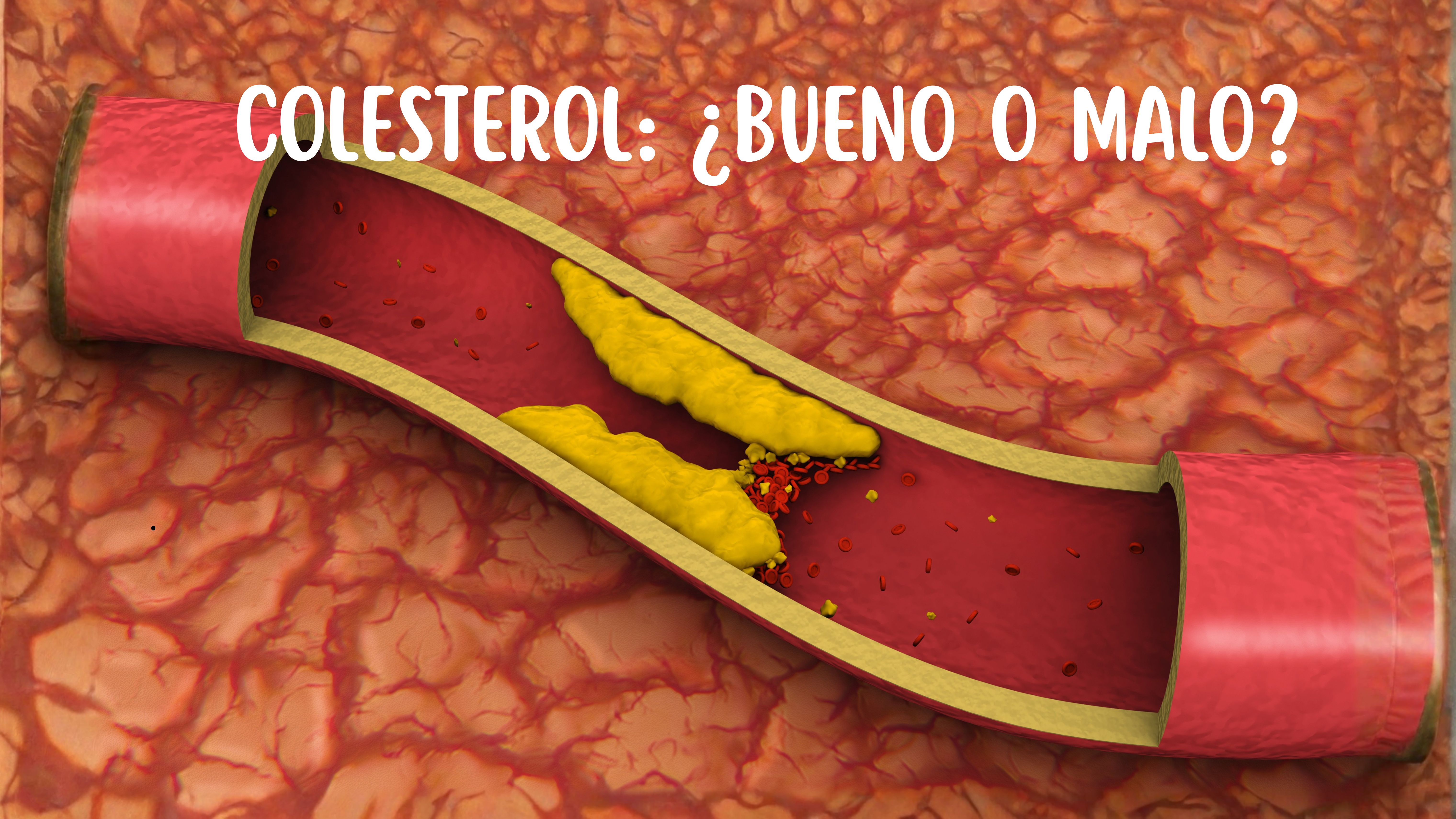 Colesterol ¿Bueno o Malo?