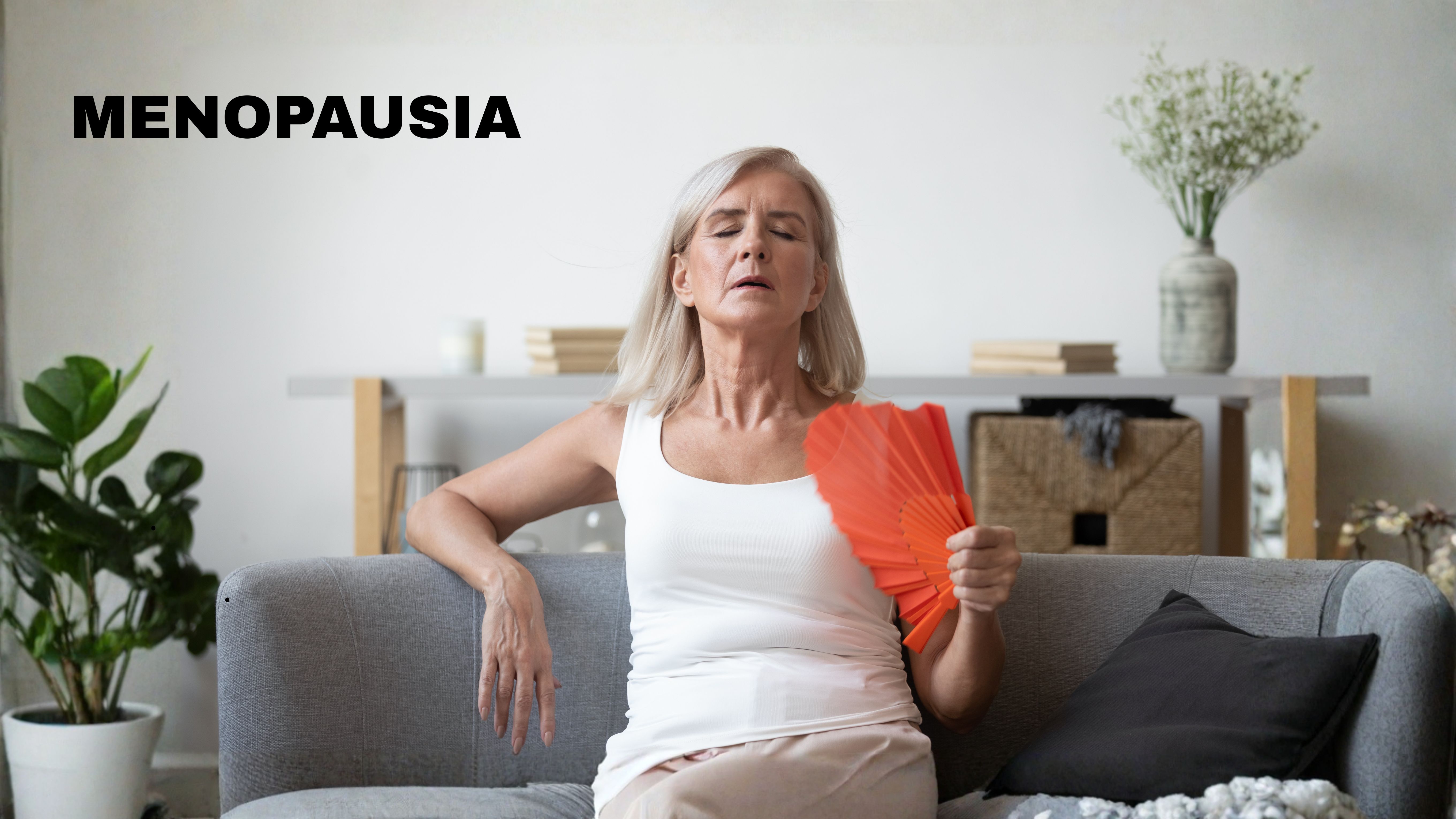 Menopausia